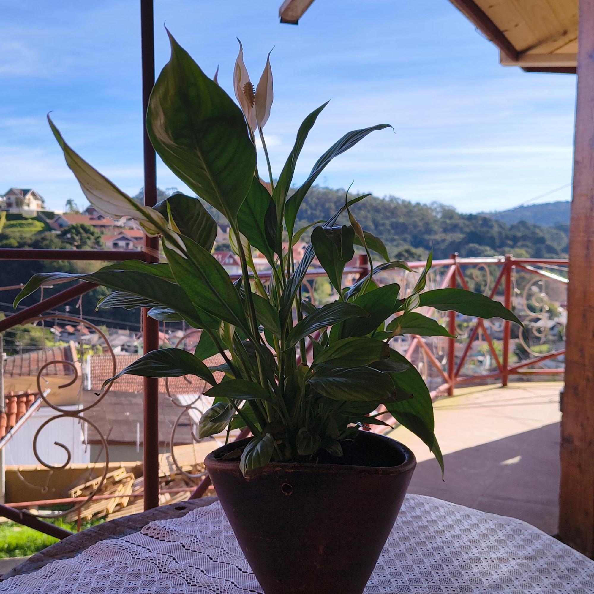 Rustica Aconchego - Com Banheira De Hidromassagem Campos do Jordão